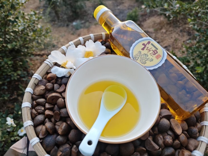 【老茶树纯正山茶油】古法压榨油小籽茶油现榨现发