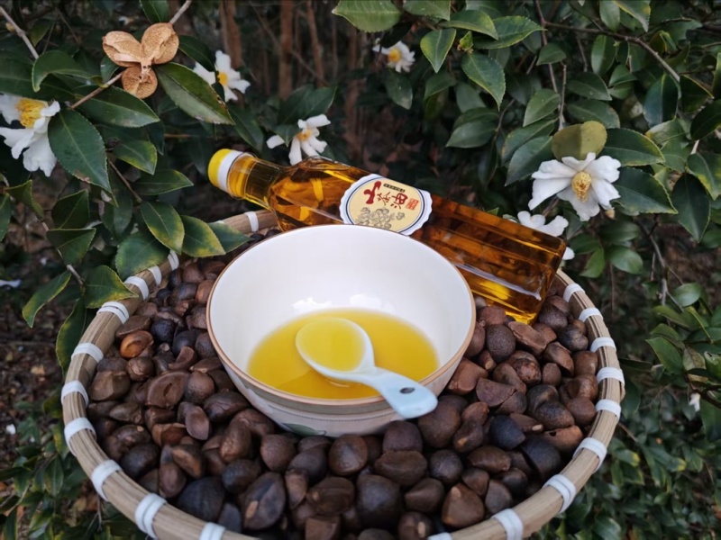 【老茶树纯正山茶油】古法压榨油小籽茶油现榨现发