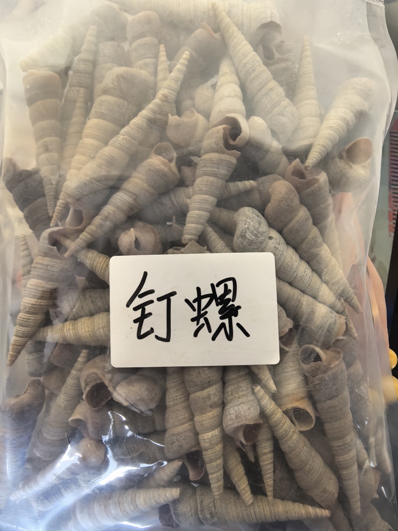 钉螺