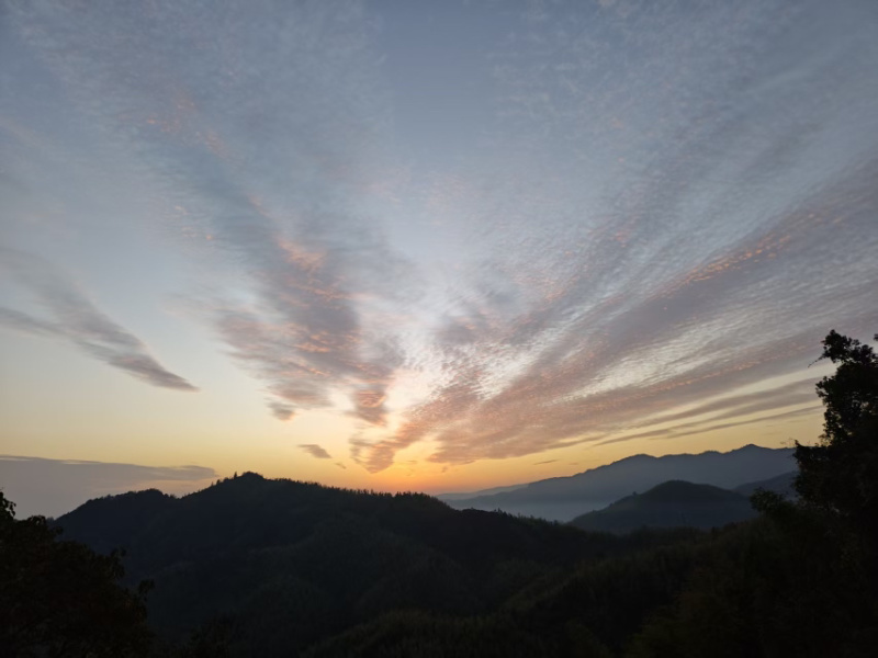 【老茶树纯正山茶油】古法压榨油小籽茶油现榨现发