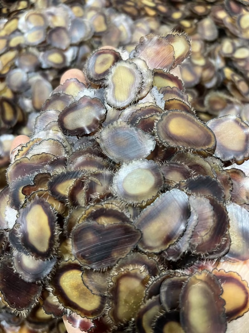 鹿茸含血净腊片吉林白山鹿茸片大量批发长期供货诚信经营欢迎**