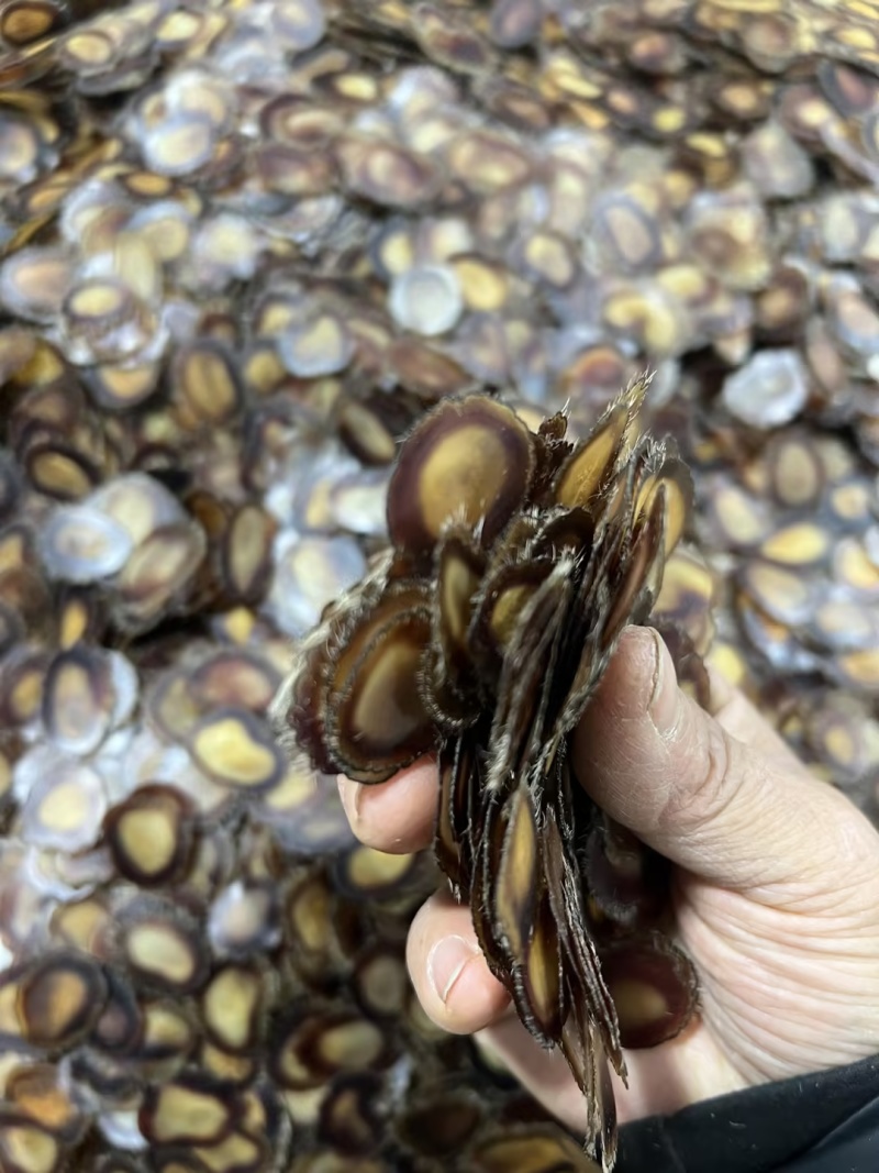 鹿茸含血净腊片吉林白山鹿茸片大量批发长期供货诚信经营欢迎**