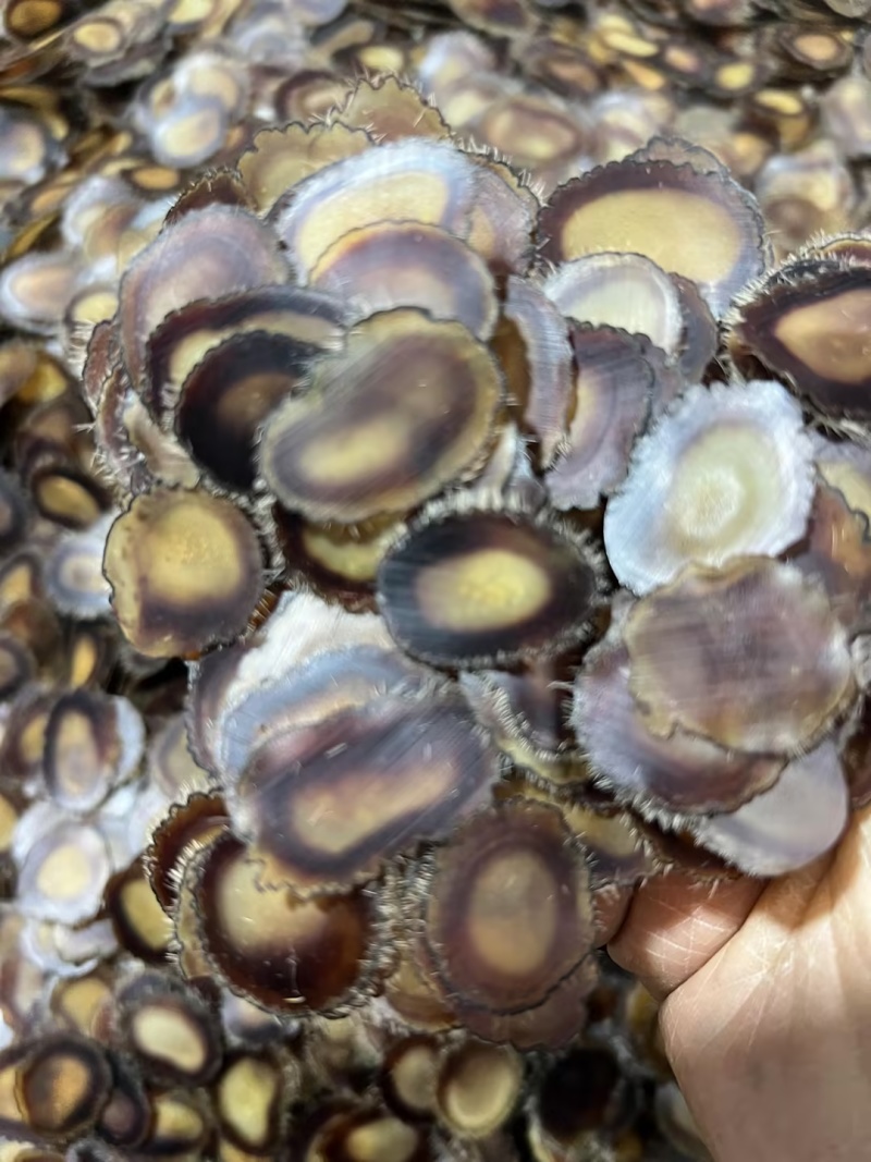 鹿茸含血净腊片吉林白山鹿茸片大量批发长期供货诚信经营欢迎**