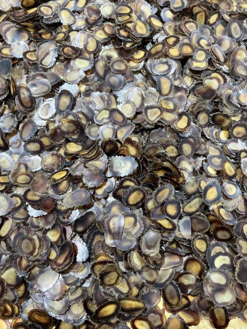 鹿茸含血净腊片吉林白山鹿茸片大量批发长期供货诚信经营欢迎**
