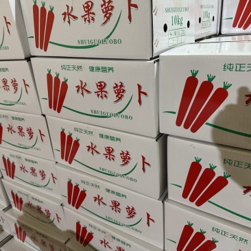 精品渭南水果红萝卜产地直销品质优口感佳欢迎批发一手货源