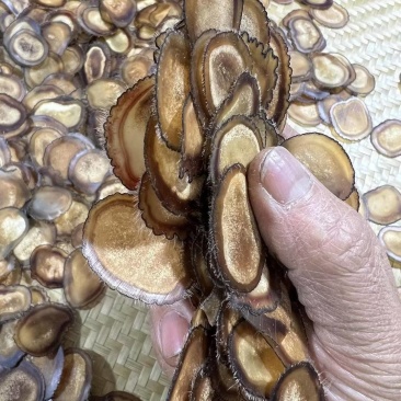 鹿茸片九成半腊片鹿茸吉林鹿茸大量有货质量保障欢迎老板联系