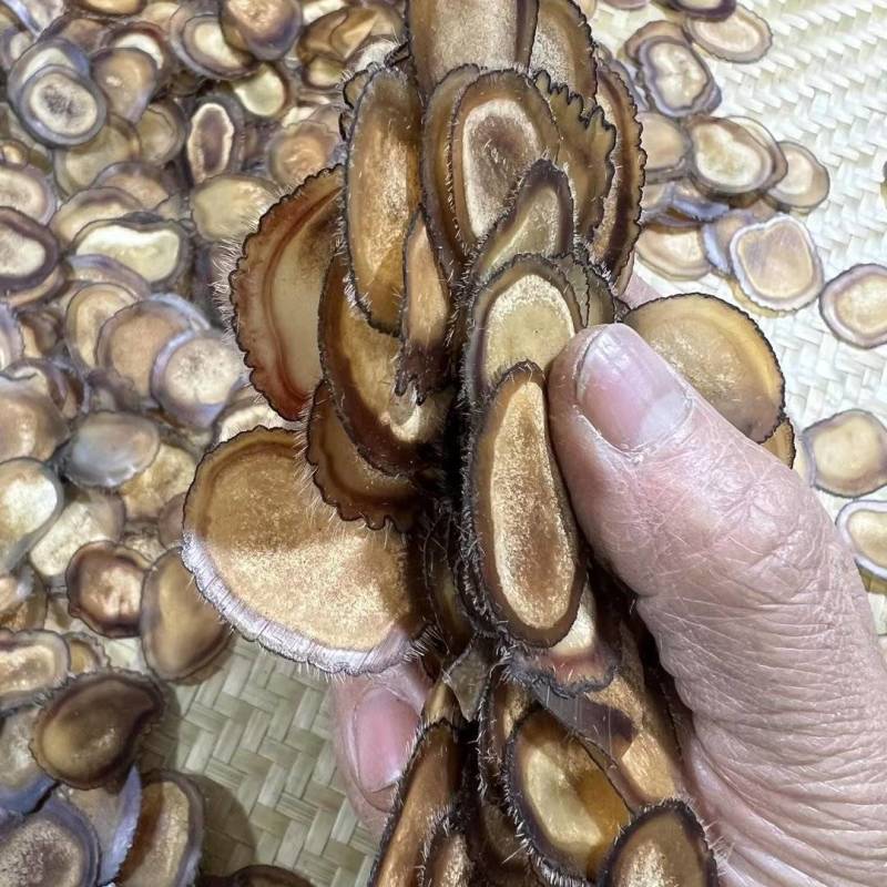 鹿茸片九成半腊片鹿茸吉林鹿茸大量有货质量保障欢迎老板联系