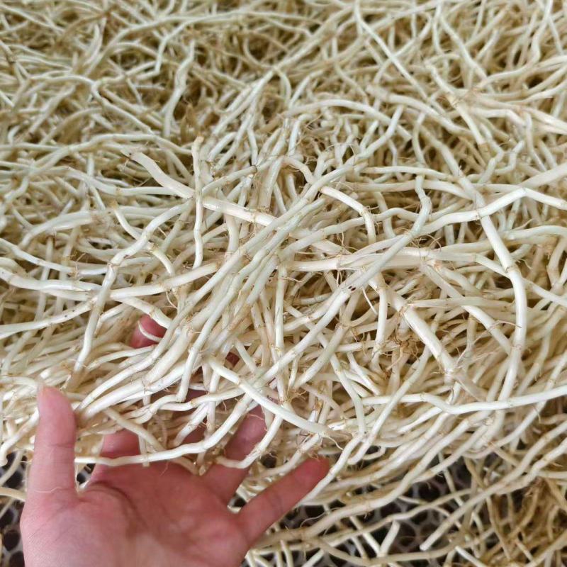 鱼腥草拆耳根产地批发价一手货源量大从优欢迎订购