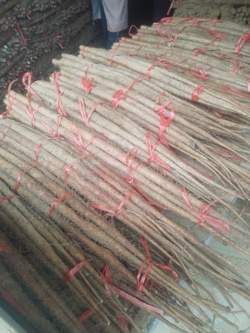 铁棍山药代收（产地直供）