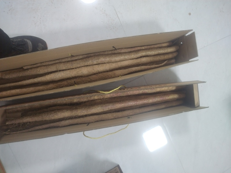 铁棍山药代收（产地直供）