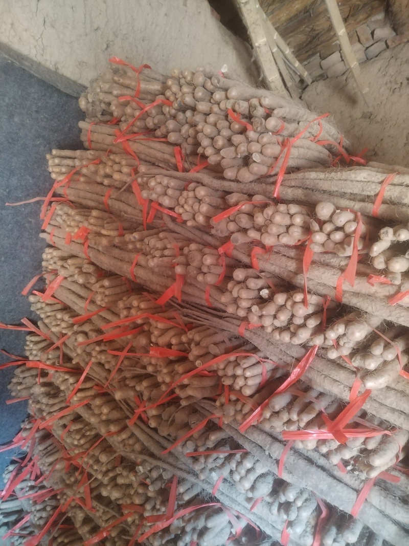 铁棍山药代收（产地直供）