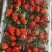 海阳草莓🍓代收寻找收货商