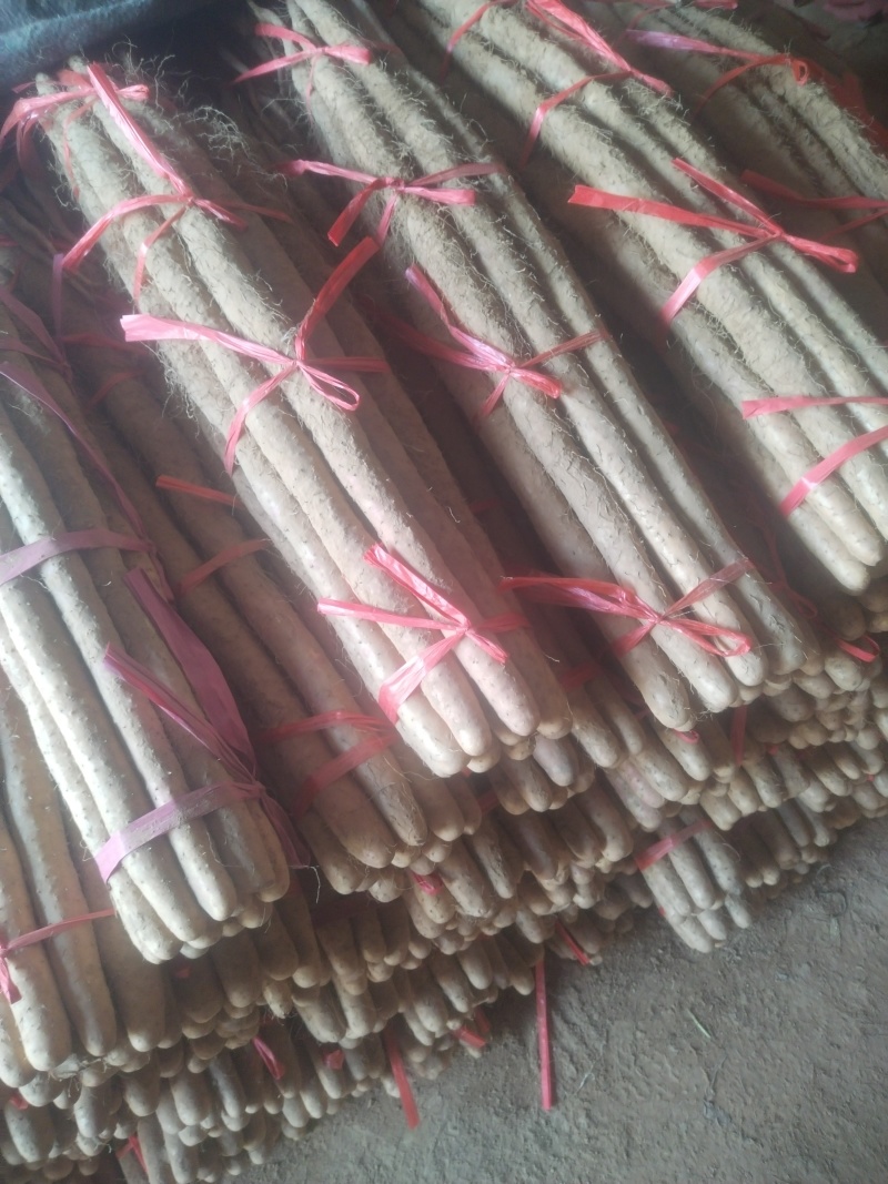 铁棍山药代收（大量现货供应）