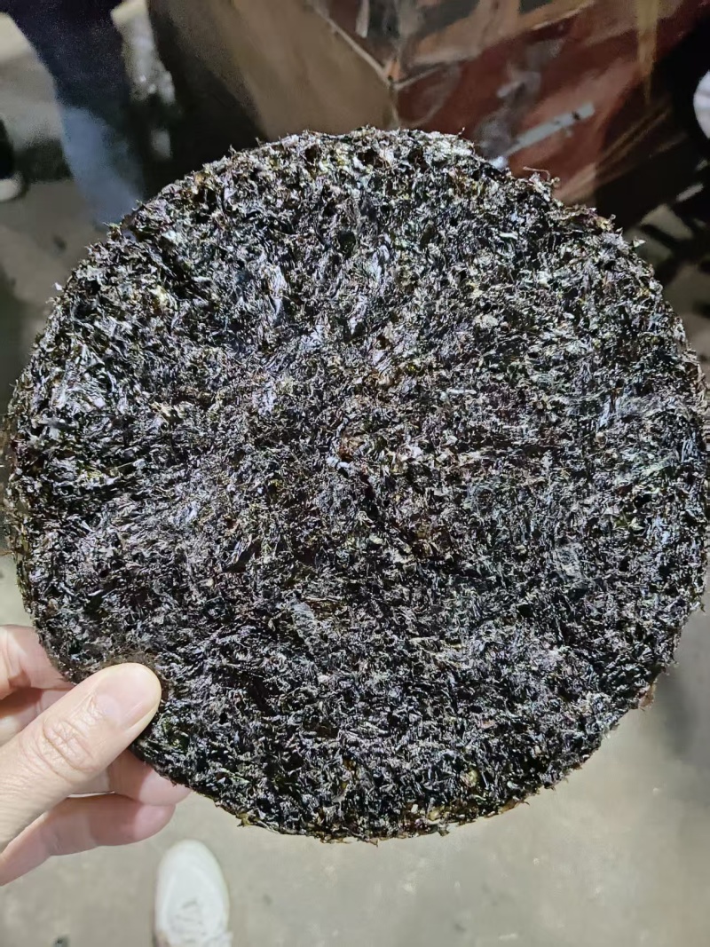霞浦紫菜