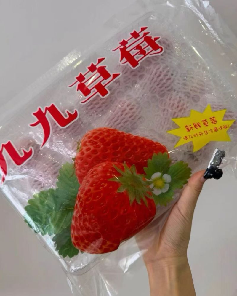 丹东九九草莓