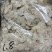 农副产品，西洋参各种规格，物美价廉假一赔十，量大从优