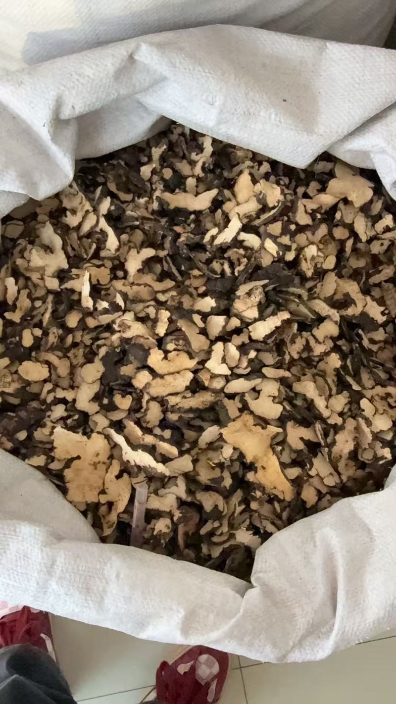 猪苓大货产地直销，实物拍摄如假包换量大从优