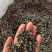 黑枸杞红枸杞各种规格实物拍摄如假包换量大从优