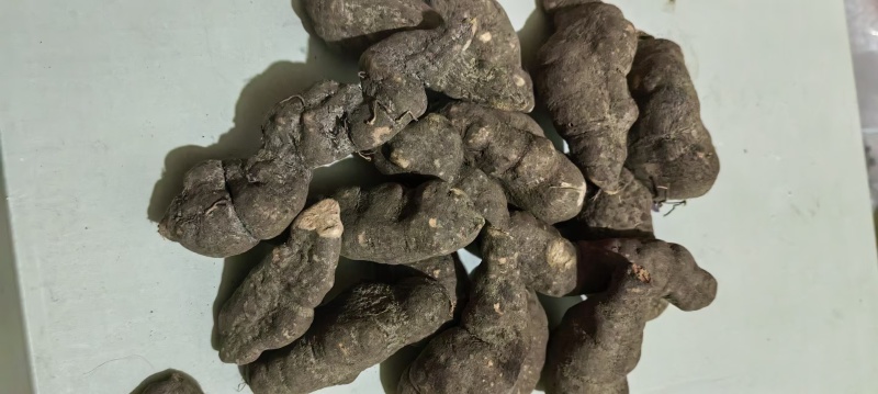 三叶青,产地直销大货供应批发零售各种规格假一赔十物美价连