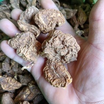 纯老野的地苦胆少量货先来先得