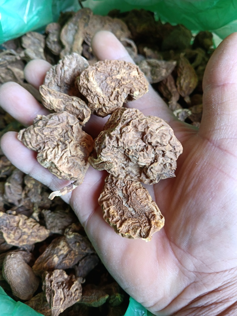 纯老野的地苦胆少量货先来先得