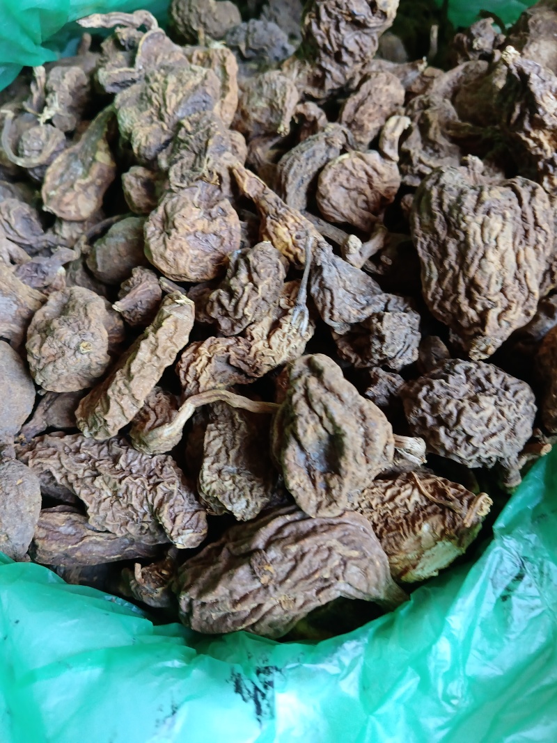 纯老野的地苦胆少量货先来先得