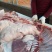 东北存粮新杀土猪肉新鲜猪肉品质好量大！