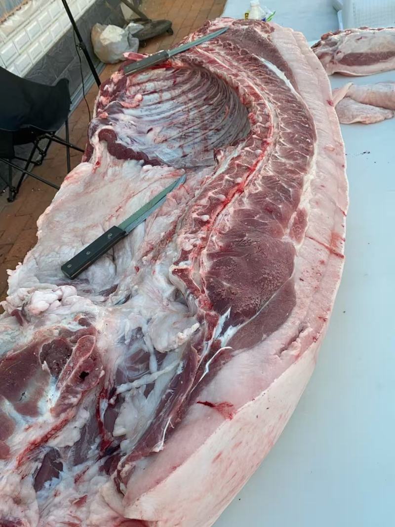 东北存粮新杀土猪肉新鲜猪肉品质好量大！