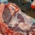 东北存粮新杀土猪肉新鲜猪肉品质好量大！