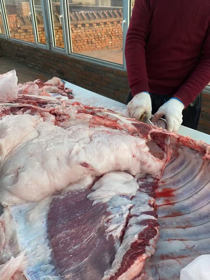 东北存粮新杀土猪肉新鲜猪肉品质好量大！