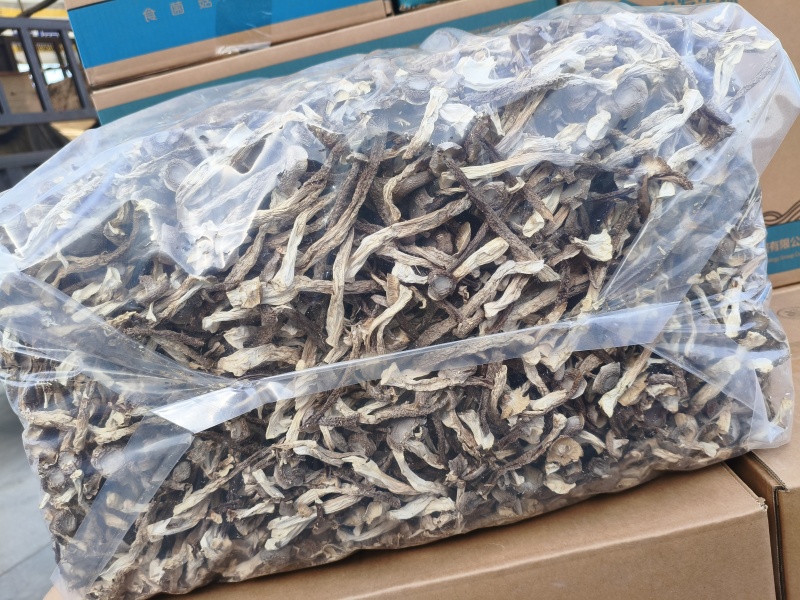 鹿茸菇干货食用菌特产食用菌鹿茸菌香菇蘑菇