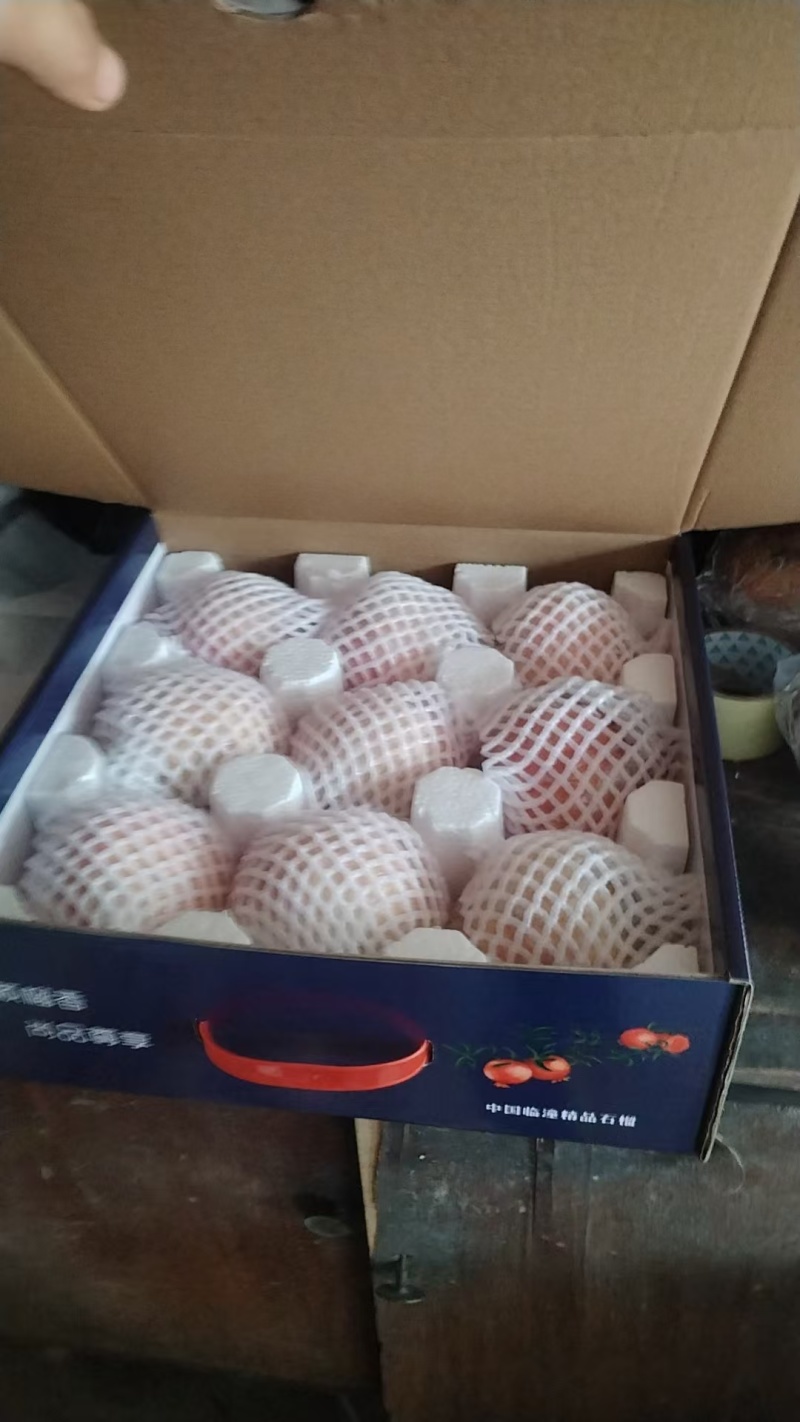 石榴大量上市产地直发量大从优欢迎采购