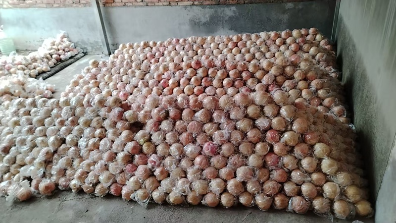 石榴大量上市产地直发量大从优欢迎采购