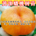果园直发黄金油蟠桃树苗中油蟠味帝风味天后晚金霞包对版