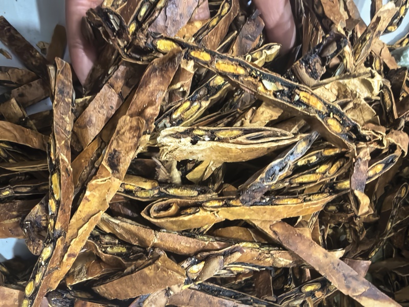 瓜蒌瓜蒌丝全瓜蒌中药材大全规格一手货源咨询洽谈