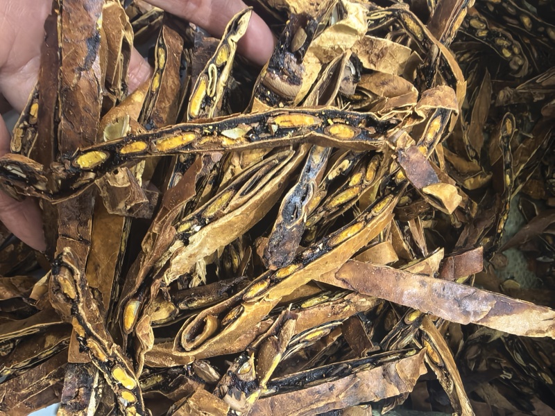 瓜蒌瓜蒌丝全瓜蒌中药材大全规格一手货源咨询洽谈