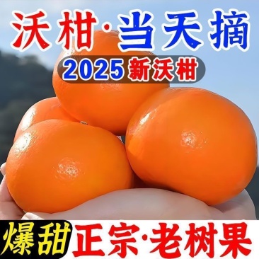 沃柑，各大电商平台，一件代发，5斤9斤，10块左右，