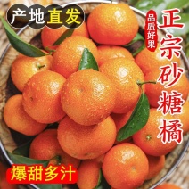 广西沙糖橘电商供货一件代发达人对接