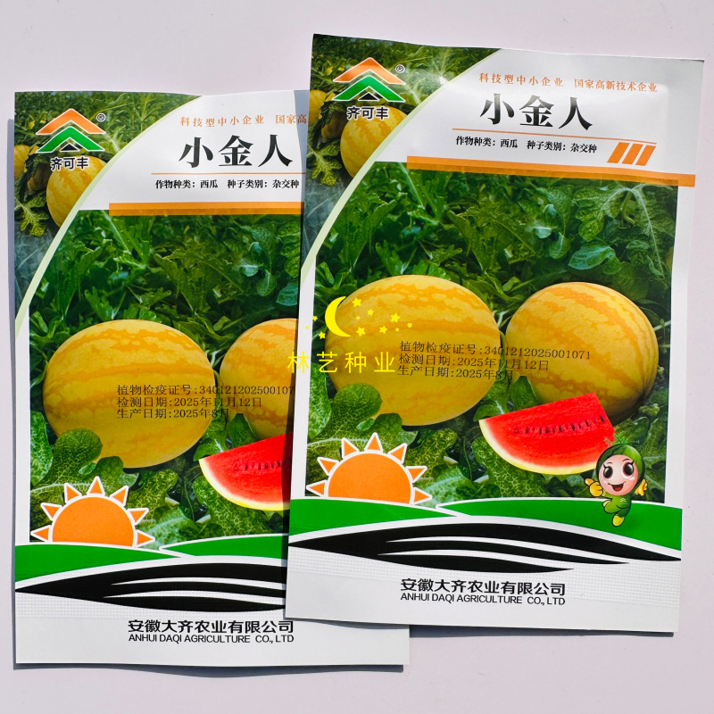 小金人早熟黄皮红瓤西瓜种子高产抗病农家菜园基地种植西瓜种