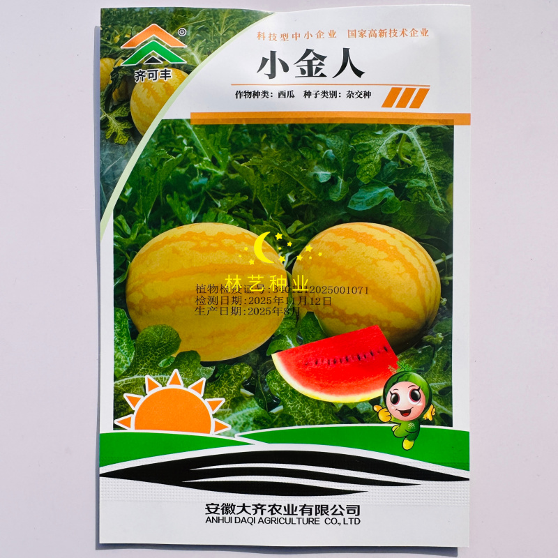小金人早熟黄皮红瓤西瓜种子高产抗病农家菜园基地种植西瓜种