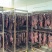 麻辣猪肉大块肉，五香猪大块肉，酱香肉，价格美丽欢迎咨询