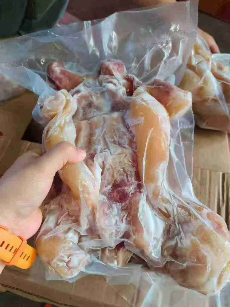 火烧毛全熟去骨牛蹄带主筋，感兴趣的老板看过来，欢迎咨询