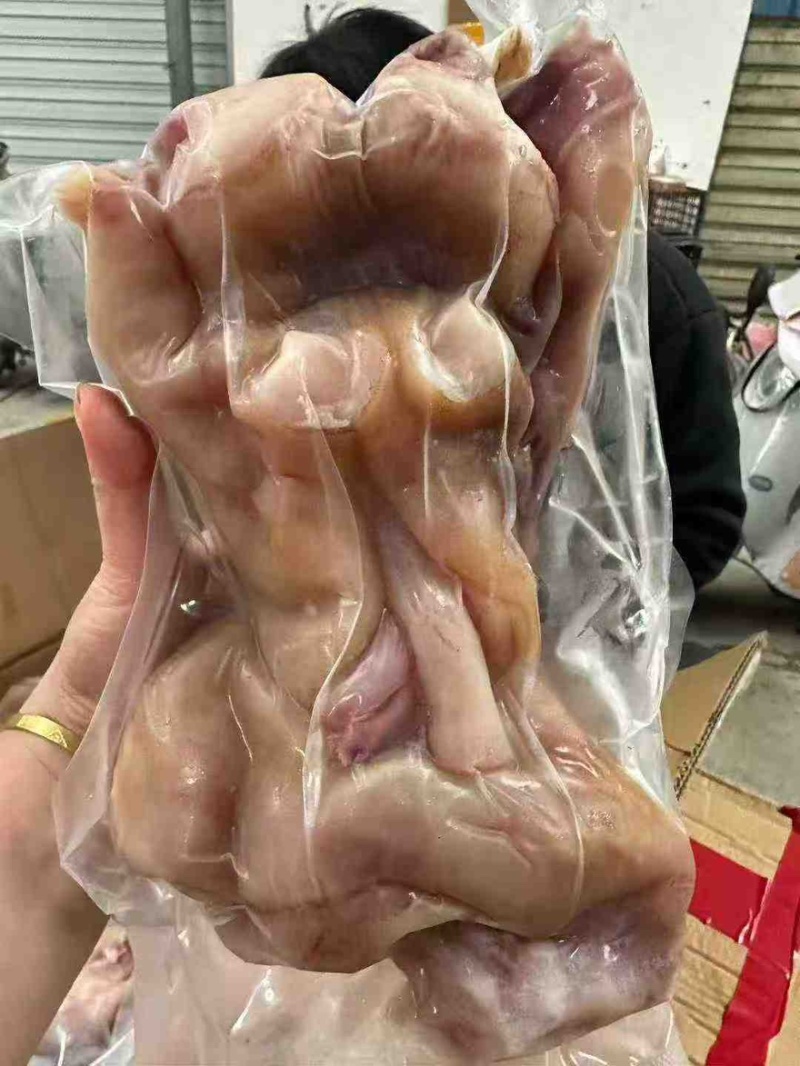 火烧毛全熟去骨牛蹄带主筋，感兴趣的老板看过来，欢迎咨询