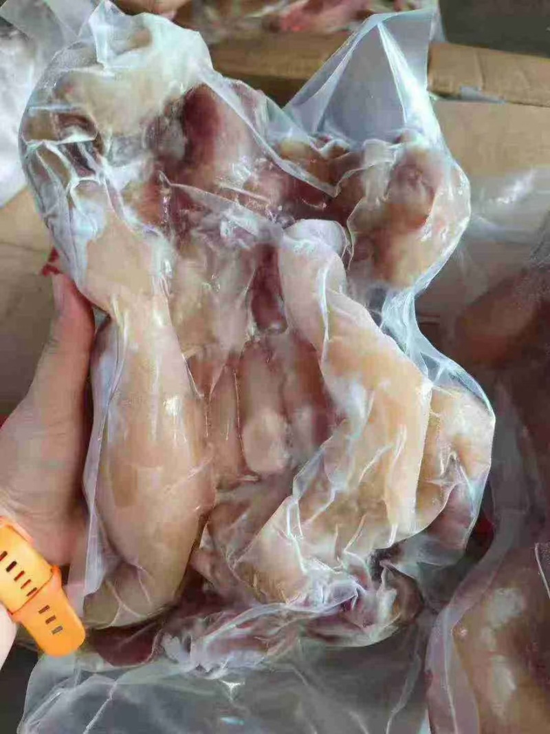 火烧毛全熟去骨牛蹄带主筋，感兴趣的老板看过来，欢迎咨询