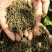 云南永善花椒特麻特香昭通青花椒特产干麻椒