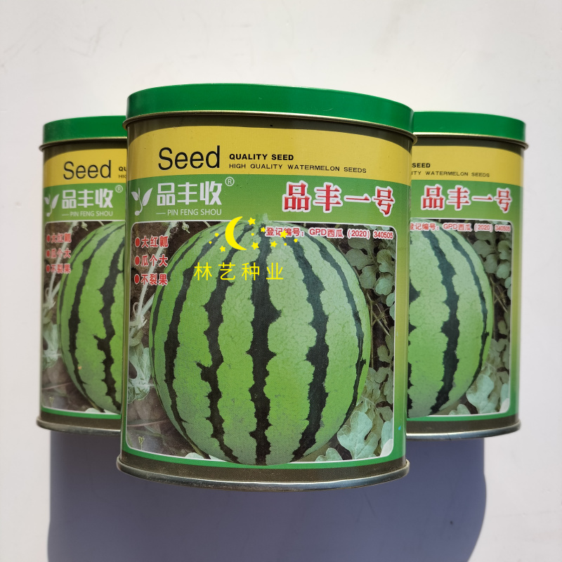 品丰收品丰一号种子早中熟大红瓤肉质脆甜口感好抗病耐重茬