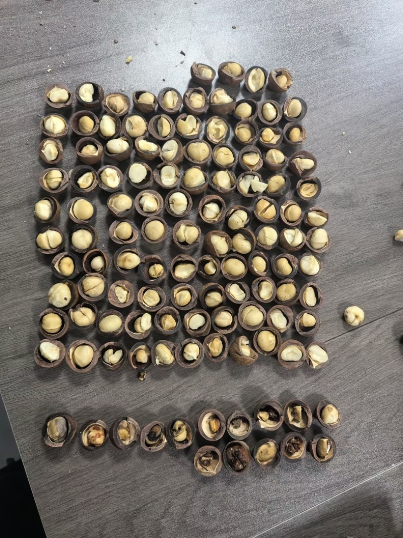 夏威夷果电商货一件代发大量现货