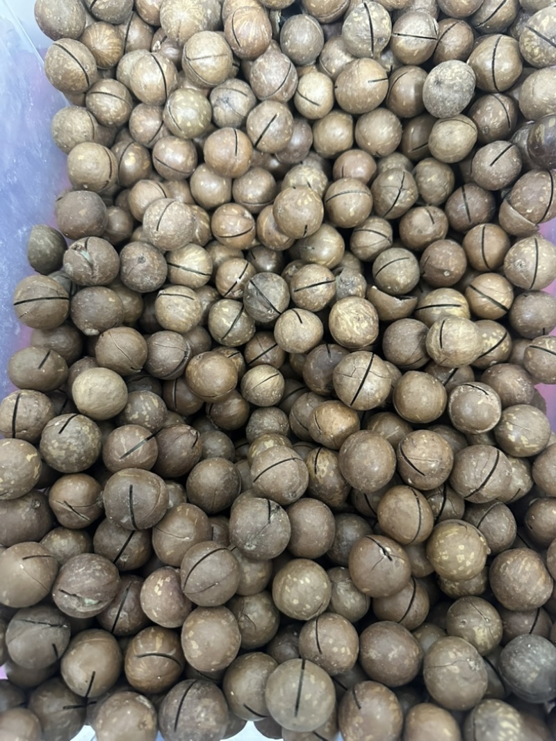 夏威夷果电商货一件代发大量现货