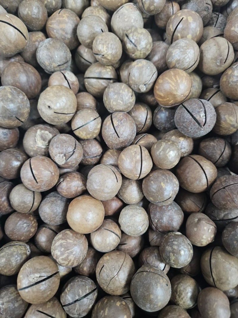 夏威夷果电商货一件代发大量现货
