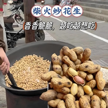熟花生柴火土锅现炒即发大娘家的花生又丰收啦！
